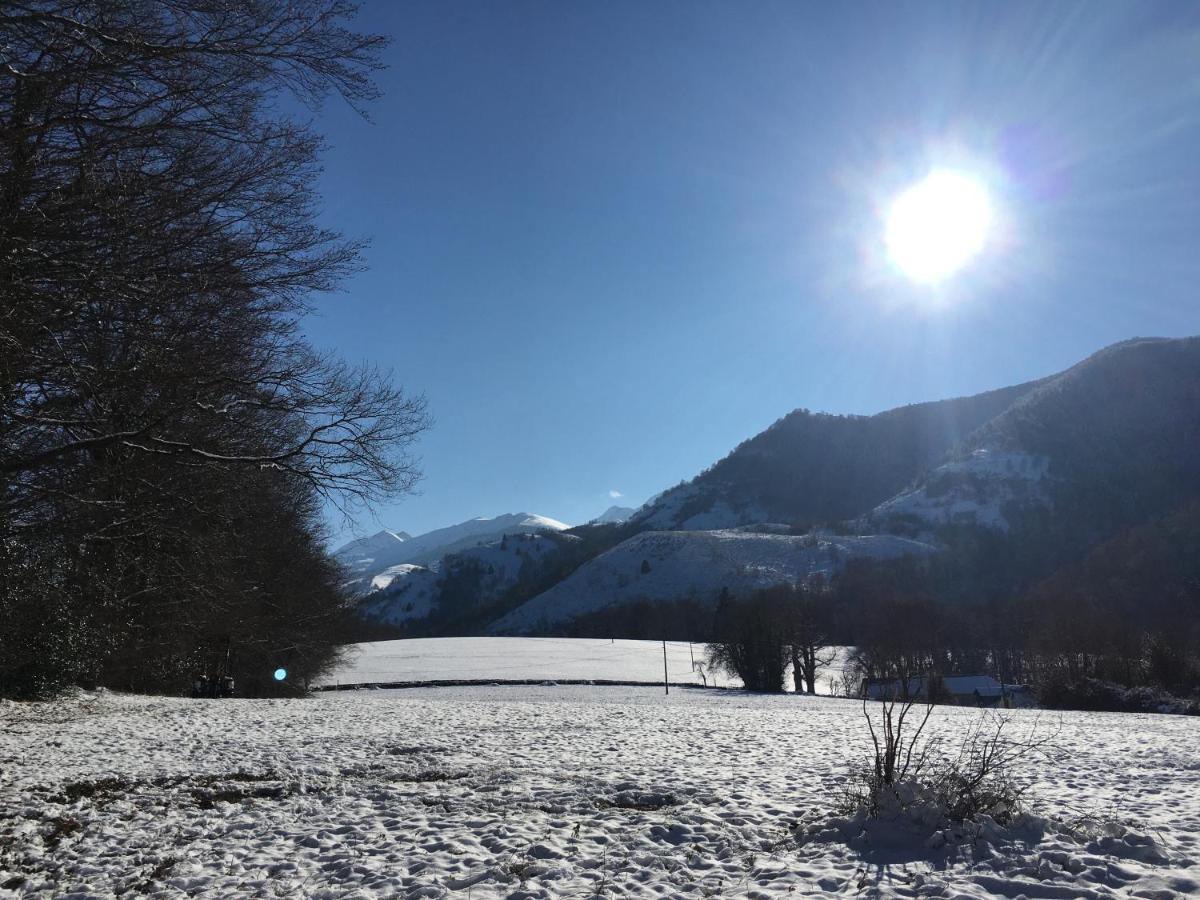 Charmant Appartement Sur Cour, Le Cerisier Bagneres-de-Bigorre Luaran gambar