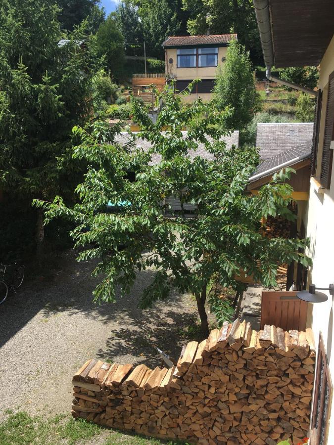 Charmant Appartement Sur Cour, Le Cerisier Bagneres-de-Bigorre Luaran gambar