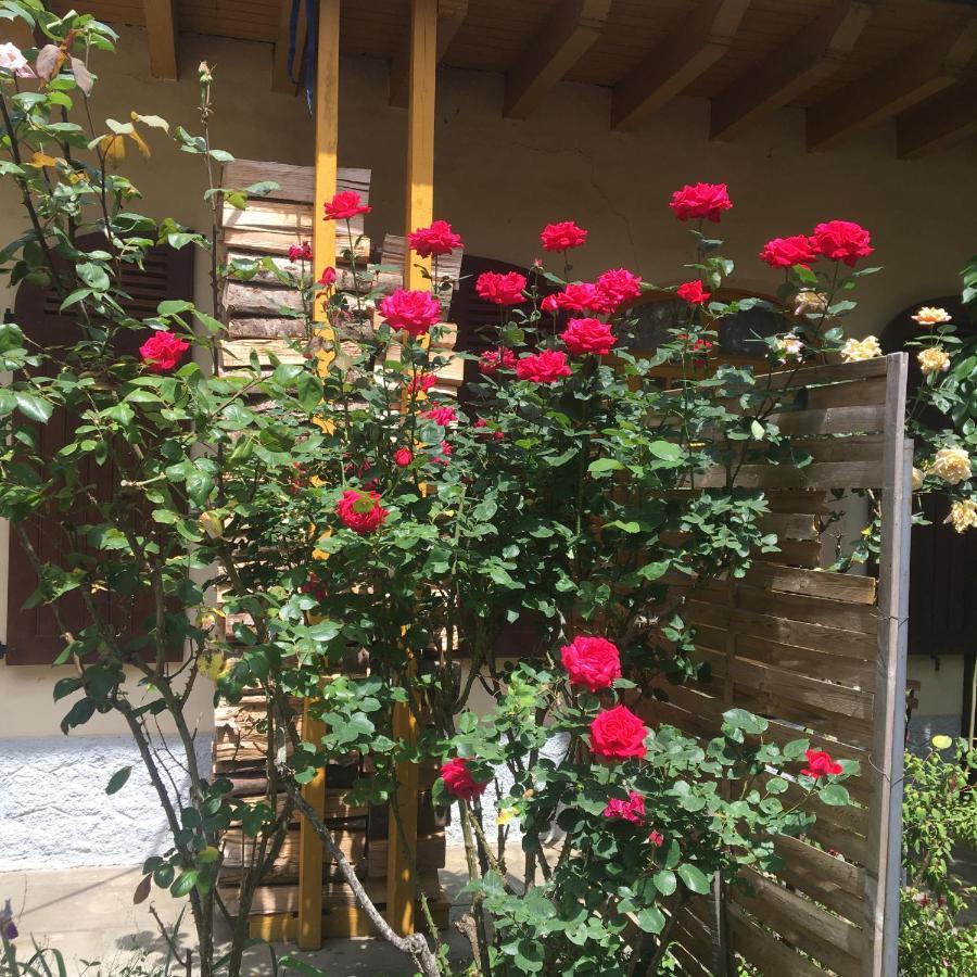 Charmant Appartement Sur Cour, Le Cerisier Bagneres-de-Bigorre Luaran gambar
