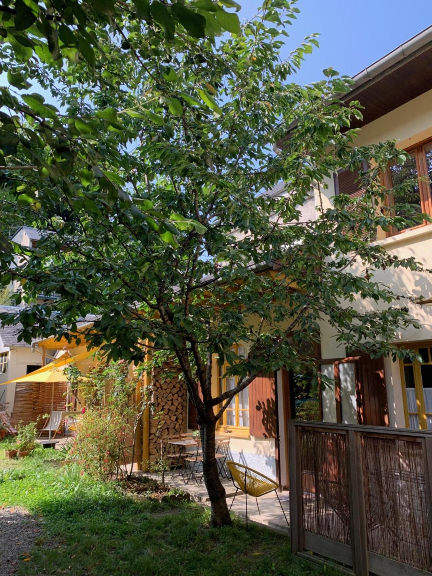Charmant Appartement Sur Cour, Le Cerisier Bagneres-de-Bigorre Luaran gambar