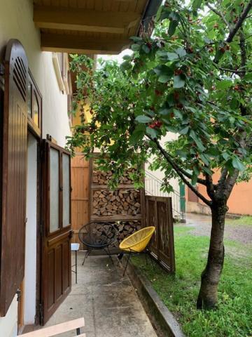 Charmant Appartement Sur Cour, Le Cerisier Bagneres-de-Bigorre Luaran gambar