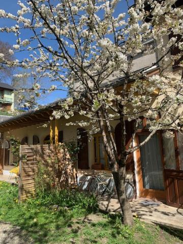 Charmant Appartement Sur Cour, Le Cerisier Bagneres-de-Bigorre Luaran gambar